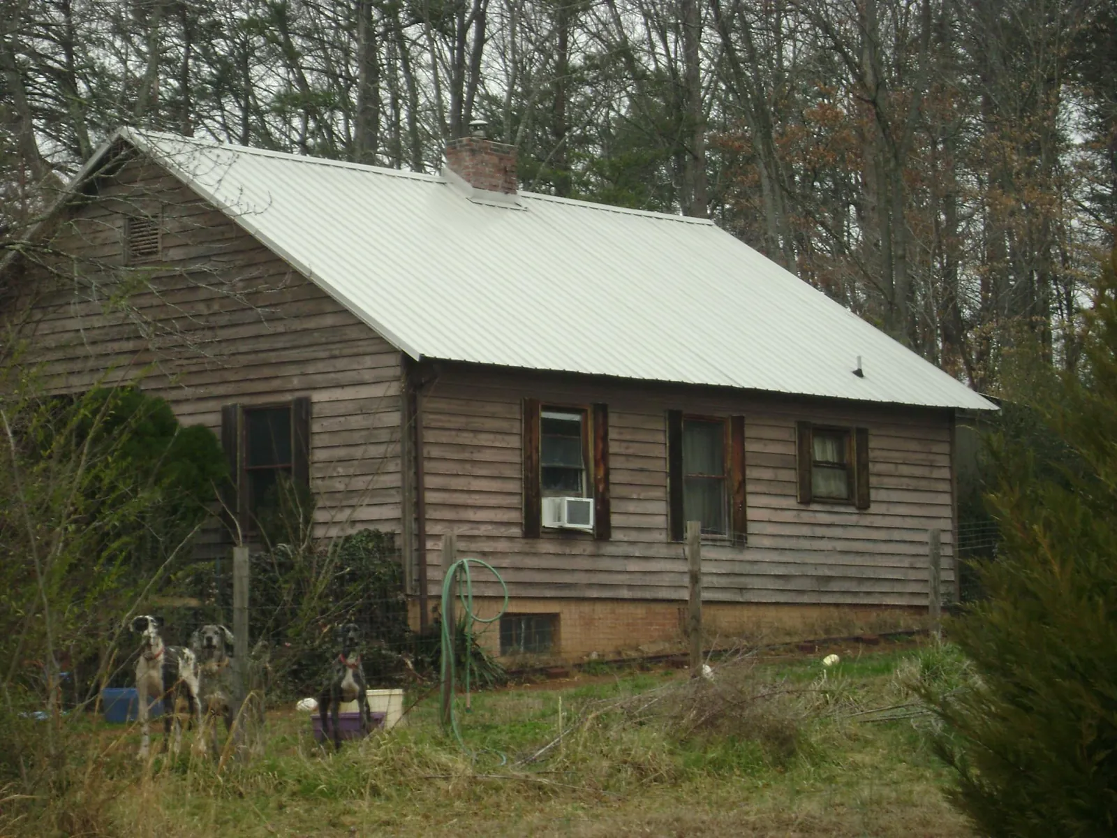 White metal roof on an old wood sided farmhouse, from a Asphalt Shingle Roof Repair job in Pevely